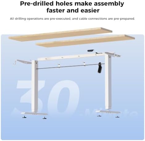 Agilestic 55 * 24 Inch Height Adjustable Electric Standing Desk, Maple