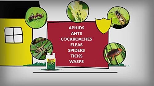 Compare-N-Save Concentrate Indoor & Outdoor Insect Control, 32 oz, Model Number: 75366