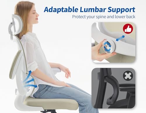 TRALT Ergonomic Office Chair Desk Chair with Adjustable Lumbar Support