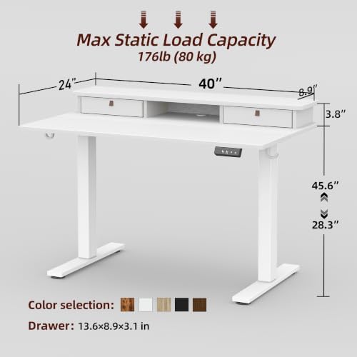 TIQLAB 40 * 24 inch Standing Desk with Two Drawers&Top Shelf, White