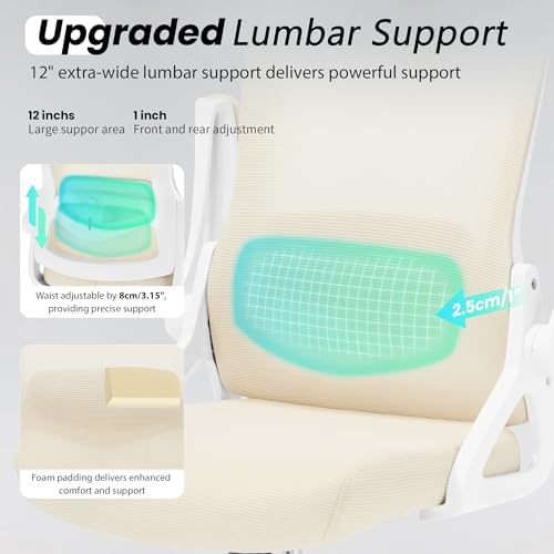 Fizzin Office Chair Mesh Computer Chairs with Adjustable Lumbar Support