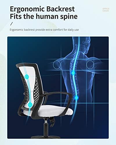 FDW | Mid Back Office Chair | White | with Lumbar Support, 360 Swivel
