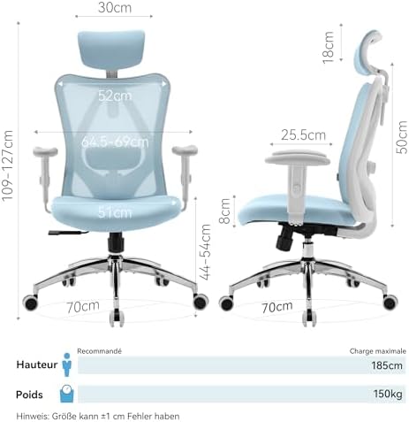SIHOO M18 Ergonomic Office Chair, Computer Desk Chair with Adjustable Headrest and Lumbar Support, High Back Executive Swivel Chair for Home Office (Light Blue)
