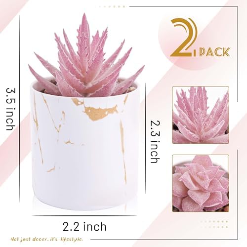 Der Rose 2 Pack Fake Plants Pink Room Decor for Office Desk Accessories