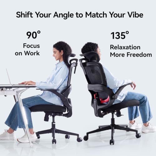 SIHOO B100 SE Ergonomic Mesh Office Chair, Desk Chair with Lumbar Support