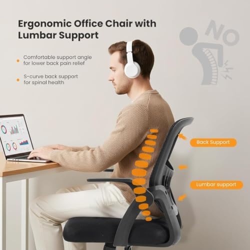 Sweetcrispy Computer Desk Chair, Home Office Chair, Lumbar Support, Black