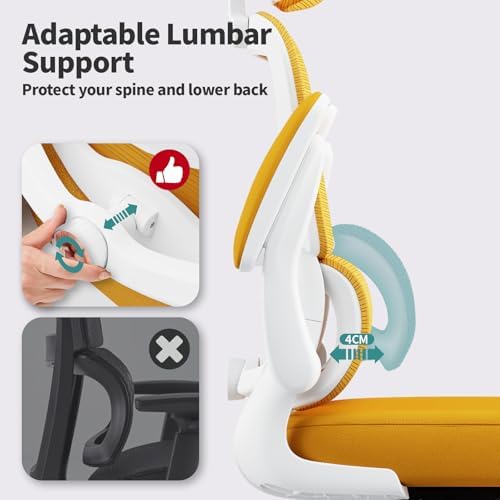 TRALT Office Chair Ergonomic Desk Chair - Gaming Chair with Lumbar Support