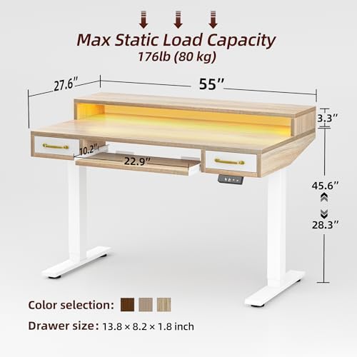 TIQLAB Standing Desk with Two Drawers, Stand Up Standing Desk Adjustable Height, Electric Sit Stand Table with Storage Shelf and Splice Board, with LED Light, 55 * 28 inch, Maple