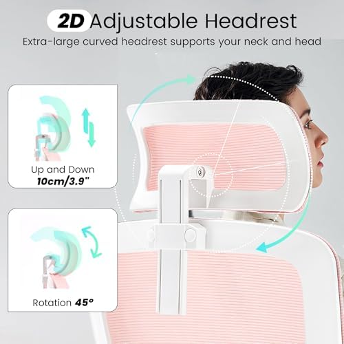 Fizzin Office Chair Mesh Computer Chairs with Adjustable Lumbar Support