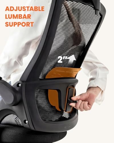 NEO CHAIR Office Chair with Adjustable Ergonomic Lumbar Headrest, Black