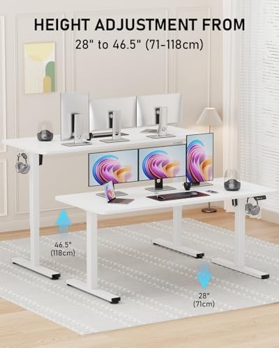 55" Large Electric Standing Desk Adjustable Height for Home Office