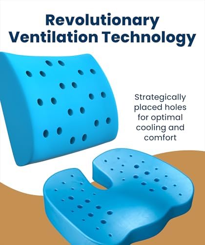 Everlasting Comfort Doctor Recommended Memory Foam Seat Cushion for Office Chairs & Car - Ergonomic Office Desk Accessories - Cushions for Tailbone Pain Relief, Sciatica (Black Airflow Lumbar, Large)