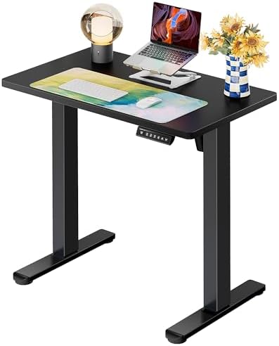 ErGear 31 X 19 Inch Height Adjustable Electric Standing Desk, Black