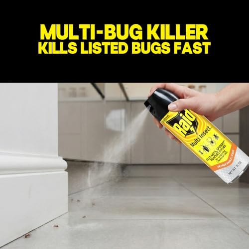 Raid Multi Insect Killer Bug Spray, Orange Breeze, 15 oz