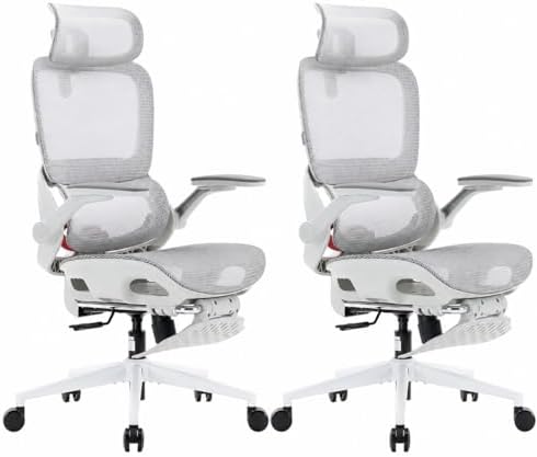 SIHOO B100 Pro Ergonomic Office Chair with Adaptive Lumbar Support, Computer Chair with Dual-Back, Desk Chair with 360° Rotatable & Flip-Up Armrests, 3D Wide Headrest, 2 Packs, Light Grey