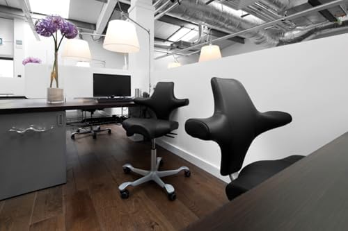 HAG Capisco Adjustable Sit to Stand Desk Chair - Black Frame - Leather Tan Brown Seat