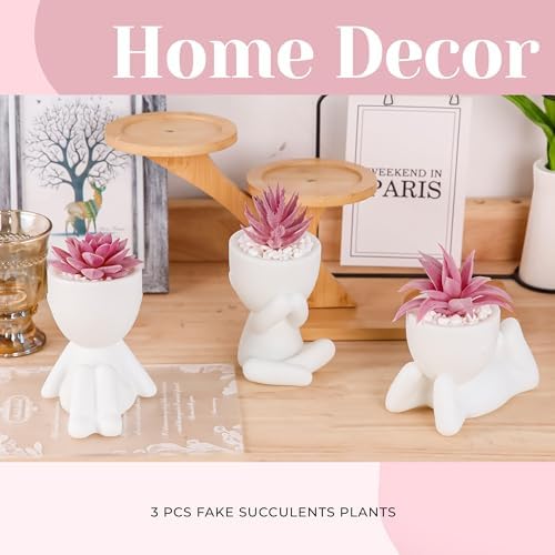 Der Rose 3 Pack Pink Fake Succulents in Human-Shaped Pots for Desk Decor