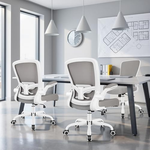FelixKing Office Chair, Ergonomic Desk Chair Breathable Mesh Chairs Adjustable High Back Lumbar Support Flip-up Armrests, Executive Rolling Swivel Comfy Computer Chairs Home Office Gray