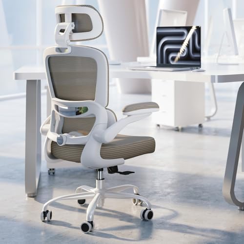 TRALT Ergonomic Office Chair Desk Chair with Adjustable Lumbar Support