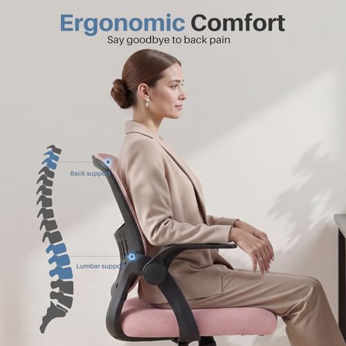 DUMOS Office Desk Chair, Lumbar Support Mesh Home Chair