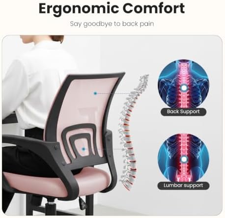 DUMOS Ergonomic Office Chair, Mid-Back Executive Desk Chair 2 Pack