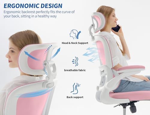 TRALT Ergonomic Office Chair Desk Chair with Adjustable Lumbar Support