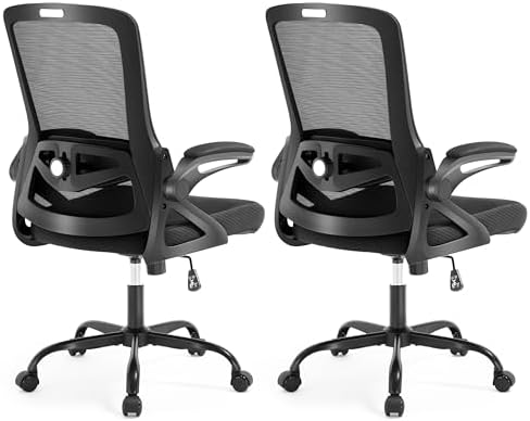Ergonomic Office Chair Desk Chair with Adjustable Lumbar Support