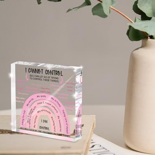 Mental Health I Can Control Decor, 4x4 Inch Pink Acrylic, Women's Therapy Office Sign, Girls Dorm Essentials, Motivational Room Decor and Gift