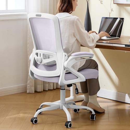 Ergonomic Office Chair Desk Chair with Adjustable Lumbar Support