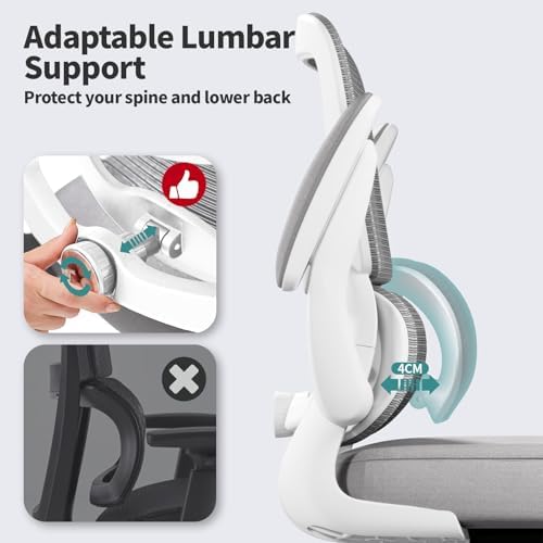 TRALT Office Chair - Ergonomic Desk Chair with Adjustable Lumbar Support, Mesh Computer Chair, Executive Chair for Home Office Comfortable Lumbar Support (1, Ash Gray)