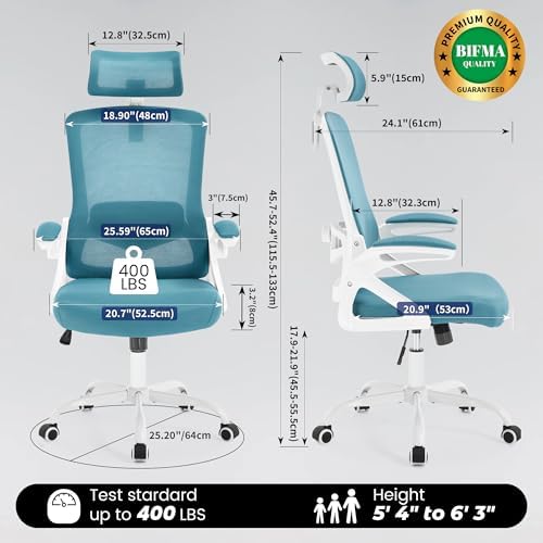 Fizzin Office Chair Mesh Computer Chairs with Adjustable Lumbar Support