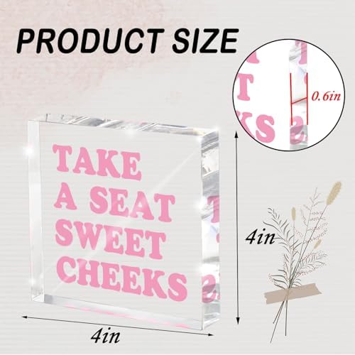 Take a Seat Sweet Cheeks Pink Acrylic Wall Decal, 4x4 Inch Fun Bathroom Decor, Quirky Desk Sign, Retro Humor Print for Girls Bedroom, Dorm and Gag Gift