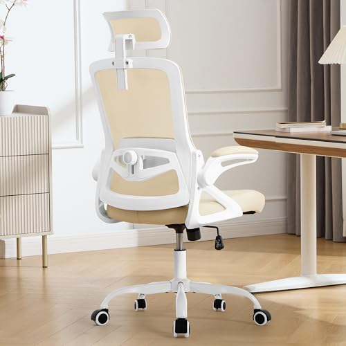 Fizzin Office Chair Mesh Computer Chairs with Adjustable Lumbar Support
