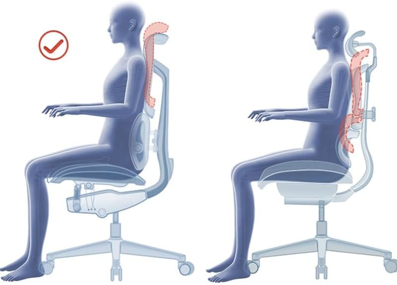 VIDI Ergonomic Chair Net, Executive Home Office, with Waist Support, Backrest