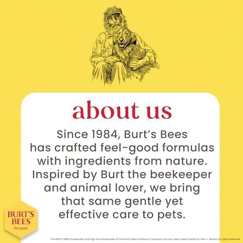 Burts Bees for Pets Kitten Grooming Wipes with Buttermilk, 50 Count, 6-Pack | Waterless bath wipes clean face, paws, tail, and coat, gentle alternative to bathing for indoor cats