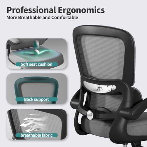 TRALT Office Chair - Ergonomic Desk Chair with Adjustable Lumbar Support, Mesh Computer Chair, Executive Chair for Home Office Comfortable Lumbar Support (1, Fog Gray)
