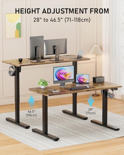 48" Large Electric Standing Desk Adjustable Height for Home Office