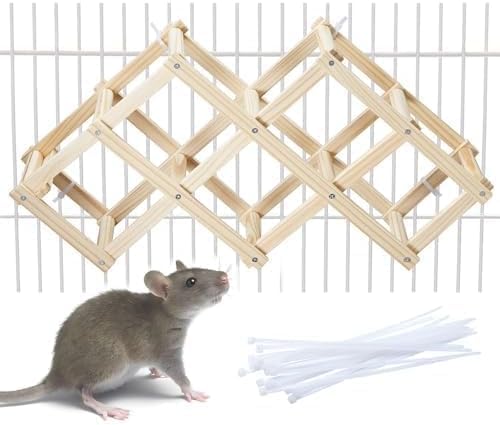 Kiln-Dried Wood Rat Climb Toy, Hanging Cage Ladder Activity (M, 1Pc) | Natural Rat Cage Bridge, Multiple Openings & Directional Ramps Offer Challenges to Satisfy Rats' Instincts for Explore & Play