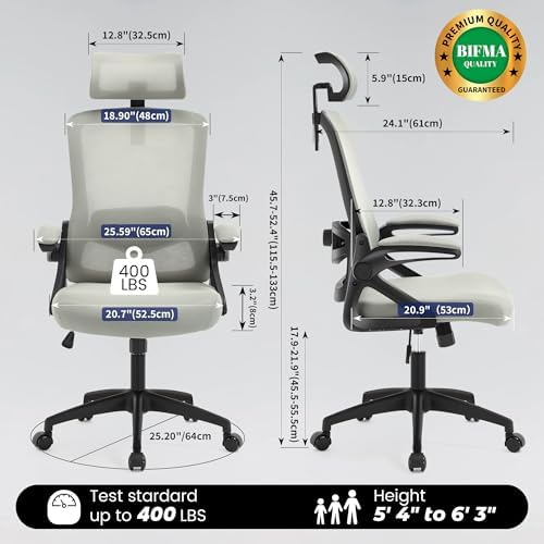 Fizzin Office Chair Mesh Computer Chairs with Adjustable Lumbar Support