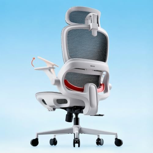 SIHOO B100 Mesh Office Chair, Comfy Ergonomic Office Chair