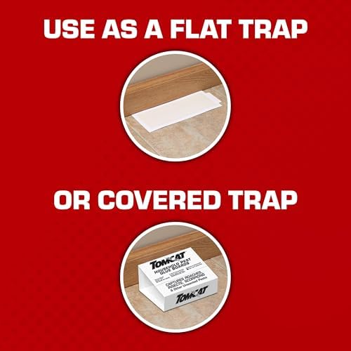 Tomcat Household Pest Glue Trap, 4-Pack
