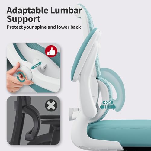 TRALT Office Chair - Ergonomic Desk Chair with Adjustable Lumbar Support, Mesh Computer Chair, Executive Chair for Home Office Comfortable Lumbar Support (1, Mint Green)