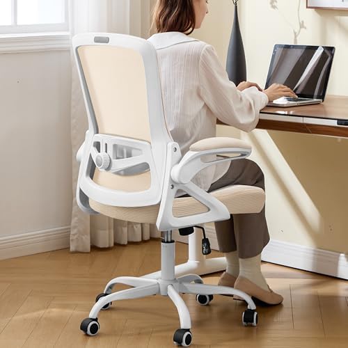 Ergonomic Office Chair Desk Chair with Adjustable Lumbar Support