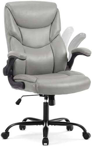 DUMOS Office Chair Set of 2, Executive Desk Chairs, Lumbar Support