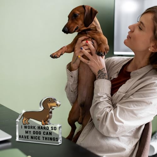 Dachshund "I Work Hard So My Dog Can Have Nice Things" Acrylic Desk Sign, 5x4.3 Inch Dachshund Shaped Pet Decor, Funny Dog Lover Gift and Pet Owner Office Cubicle Decor