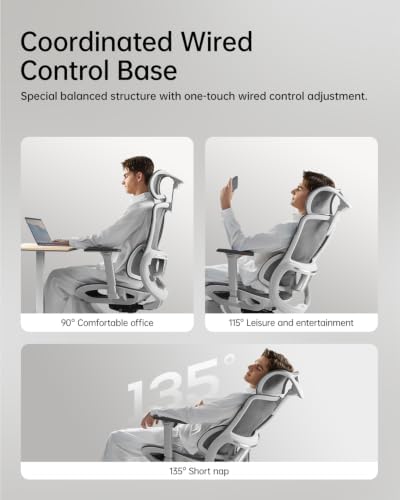 Hbada E2 Ergonomic Office Chair, Big and Tall Mesh Office Chair with 6-Way Dynamic Lumbar Support, 3D Adjustable Armrests, 3D Adjustable Headrest, Grey (No Footrest)