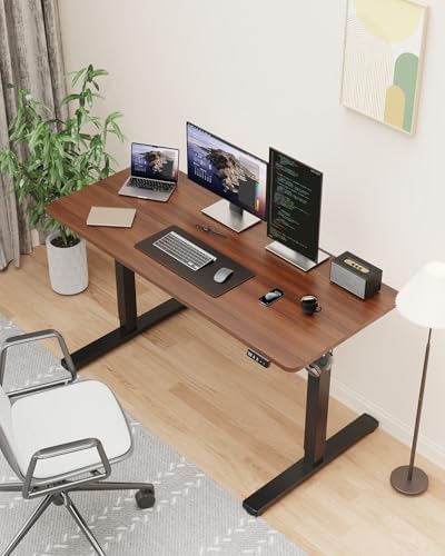 48" Large Electric Standing Desk Adjustable Height for Home Office