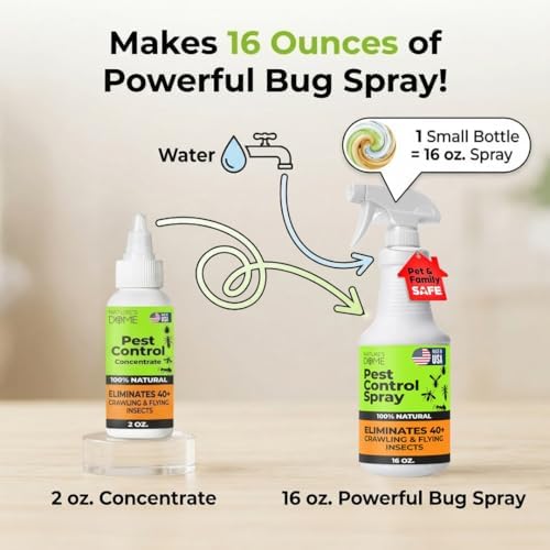 Ant Spray Indoor Outdoor Concentrate 2 Pack - Natural Bug Spray for Home & Yard | Nature's Dome 2 x 2 Oz Makes 32 Oz | Plant-Based Cinnamon Oil Pest Control for Fleas, Ticks, Mosquitoes & Roaches