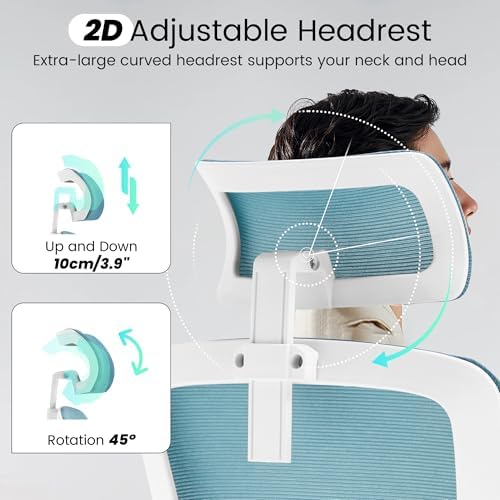 Fizzin Office Chair Mesh Computer Chairs with Adjustable Lumbar Support