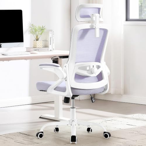 Fizzin Office Chair Mesh Computer Chairs with Adjustable Lumbar Support